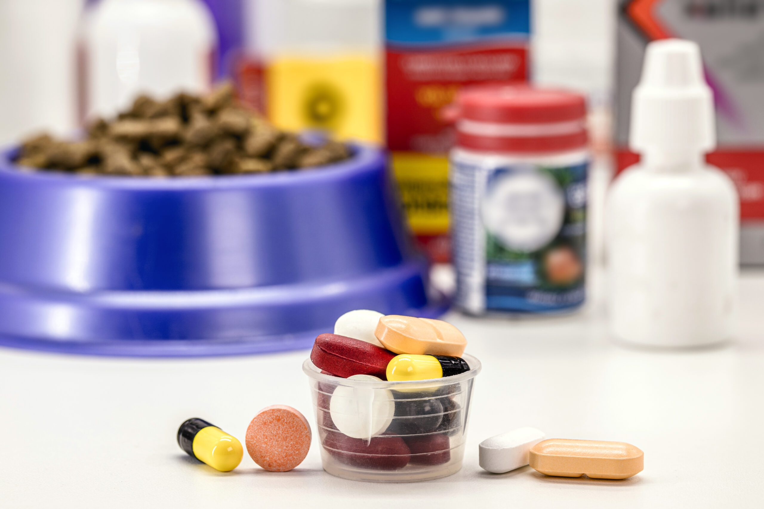 veterinary pills or heartworm medication, pet medication, pet supplements or vitamins, with pet food in the background