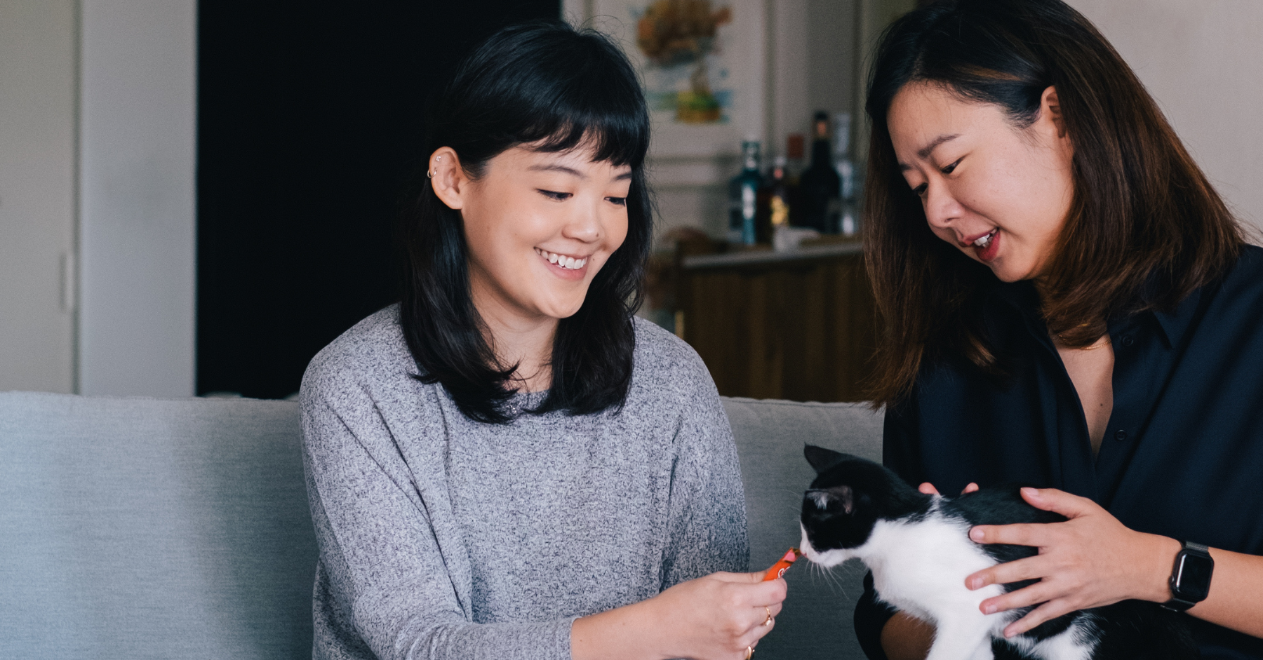 Zumvet founders feeding a cat