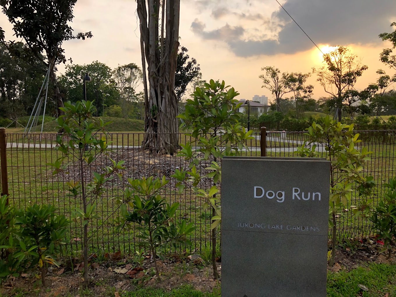 Best Dog Runs and Parks in Singapore ZumVet Blog