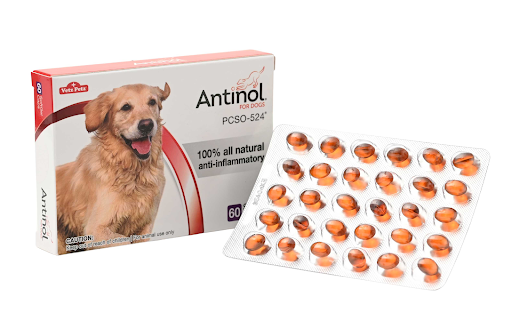 antinol for dogs