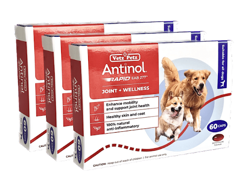 antinol rapid for dogs