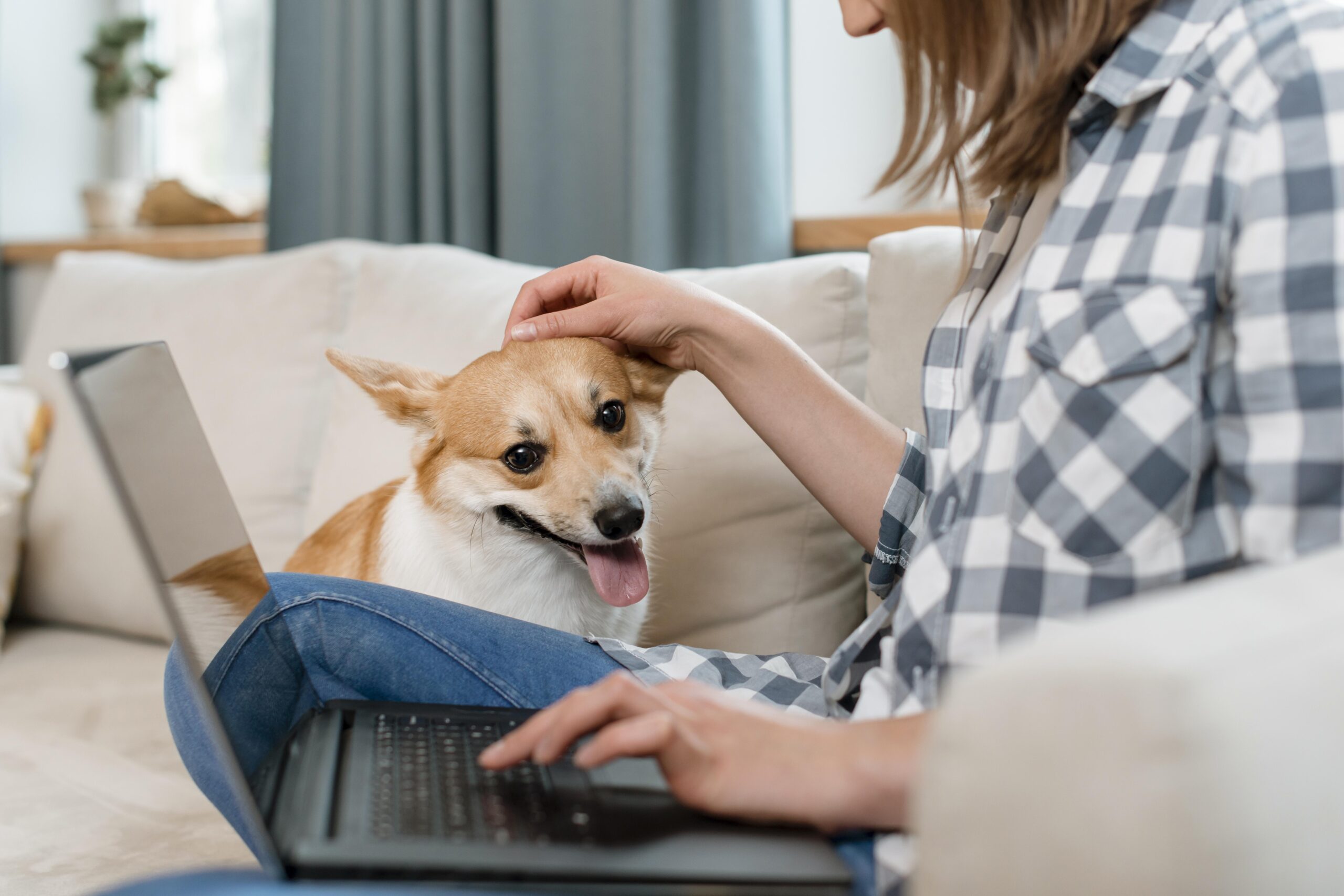 Singaporean pet owner petting her dog while loooking at the pet care subscription plan
