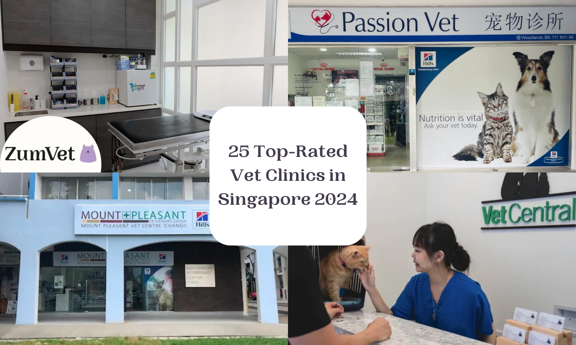 25 Top-Rated Vet Clinics in Singapore by Area 2024 [+ Online Consultations]
